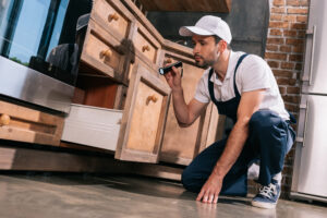 Exterminators in Paoli, PA
