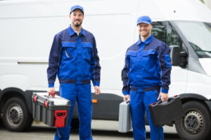 Wildlife Removal Service in Radnor, PA