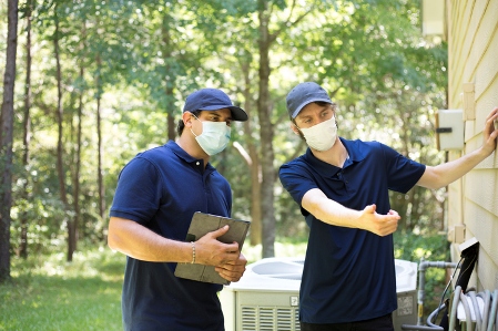 Wildlife Removal Service in Berwyn, PA