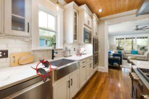 Edgmont Animal Removal Service