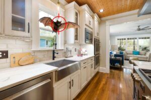 Wildlife Removal Service in Worrell