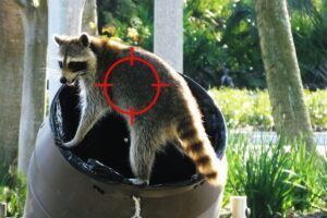 Wildlife Removal Service in Edgemont