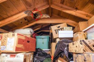 Worrell Animal Removal Service